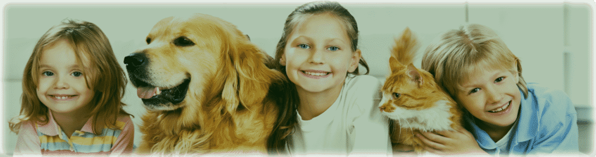 familybanner