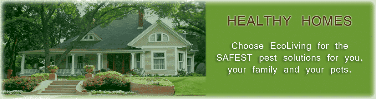 residentialbanner