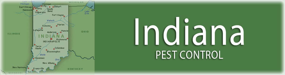 Indiana-pest-control-exterminator