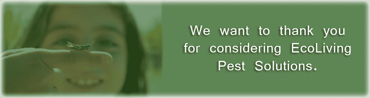 whychooseusbanner